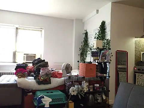 littyleesh1 webcam