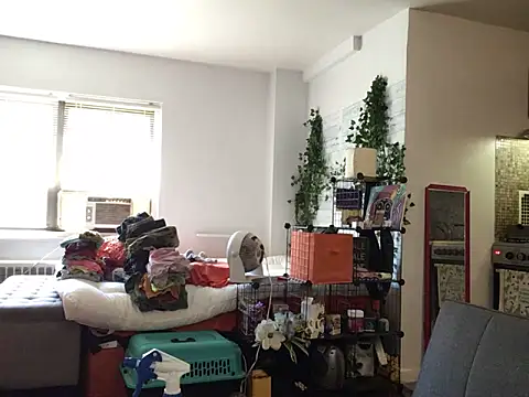 littyleesh1 webcam