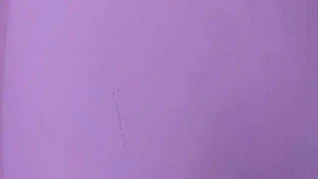 camila_scoth webcam