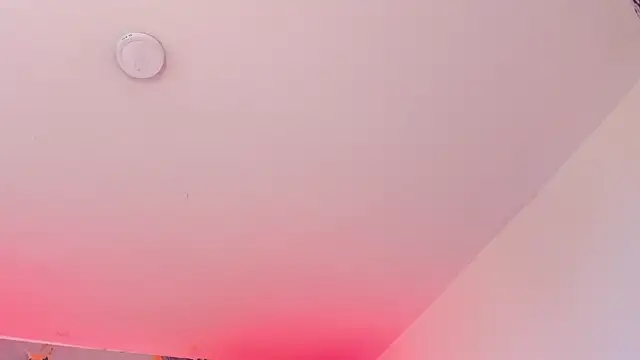 CarolineFyre