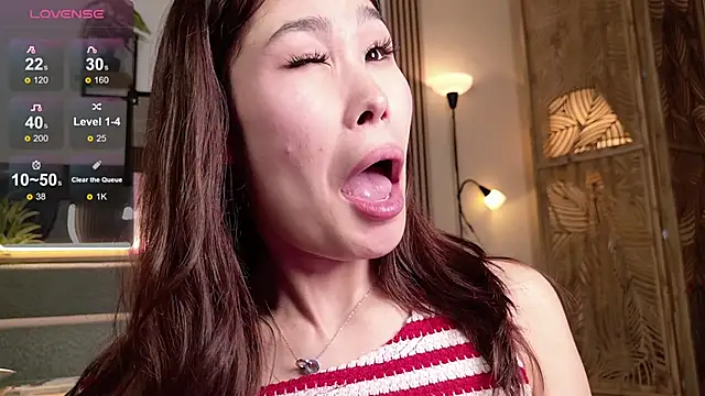 Yukisans webcam