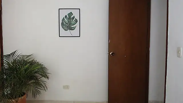 AnaOnline webcam
