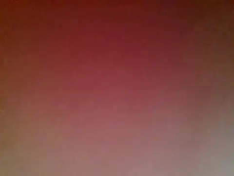 948197 webcam