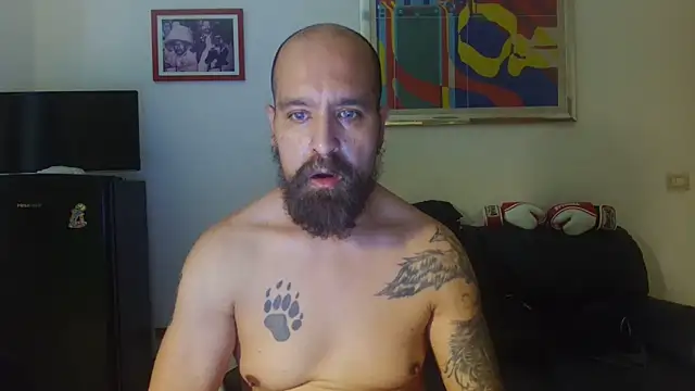 AMIRDIB2025 webcam