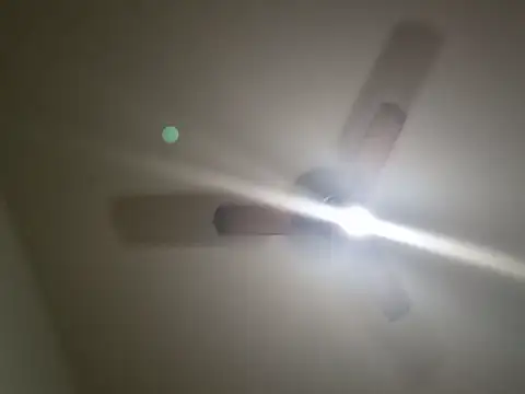 ReiDoBlowjob98 webcam