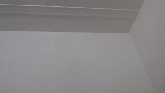 ElizabethMiler webcam