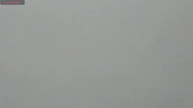 _camilo_ortiz webcam