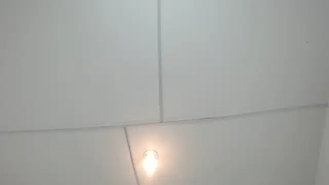 PhillipCox webcam