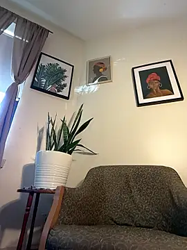 ValenLux webcam
