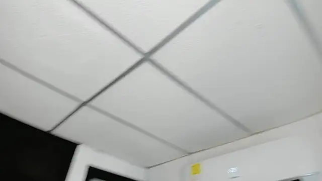 Coralhtx webcam