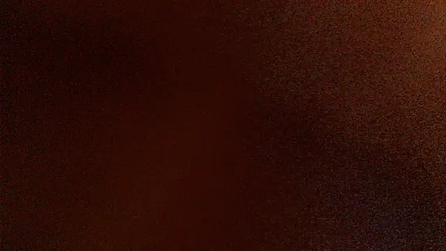 LENA-xo webcam