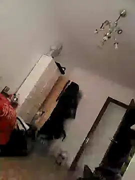 fontasm webcam