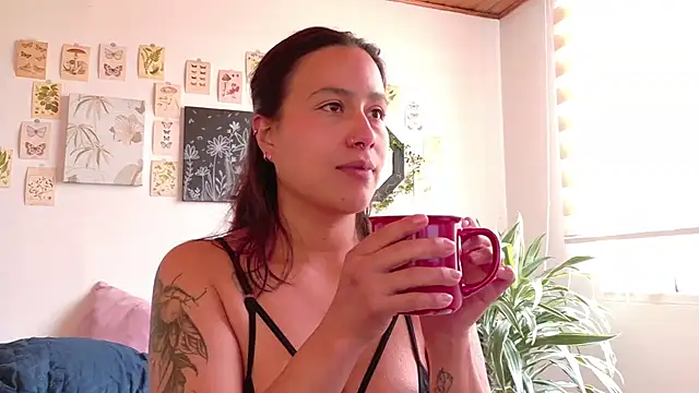 selva-salvaje webcam