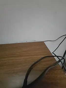 Smoors19 webcam