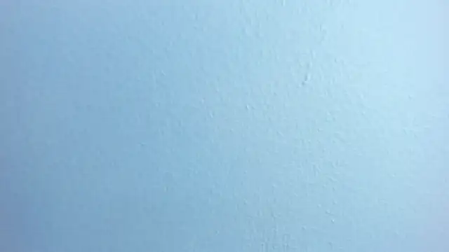 Charlie___Musk webcam
