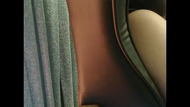Model29 webcam