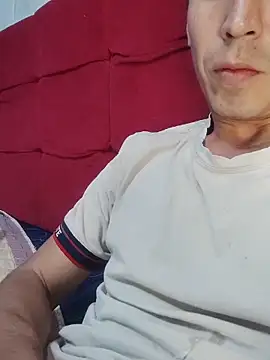 Gavii2026 webcam