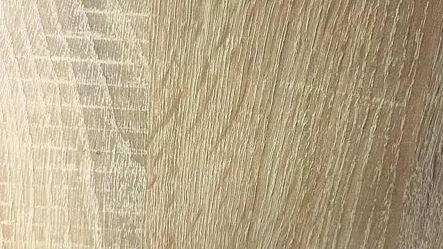 NoFace_Model webcam