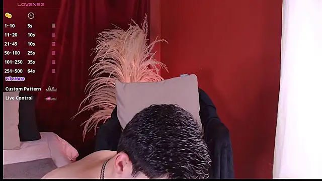 VicenteFerrer webcam