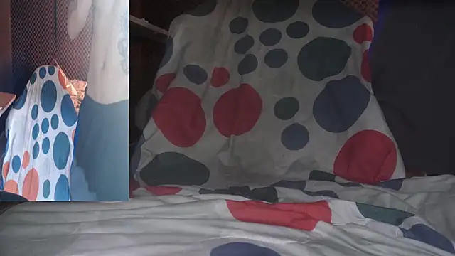 AXEL_AG5 webcam