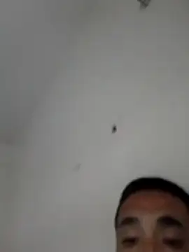 Bfl69 webcam