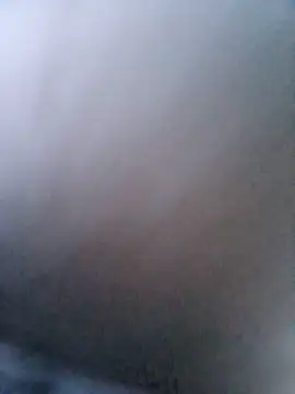 RickedMagazine webcam