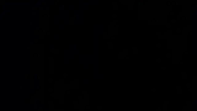 Damian64420 webcam