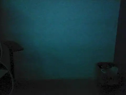 Kalel17073 webcam