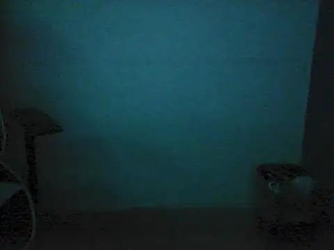 Kalel17073 webcam