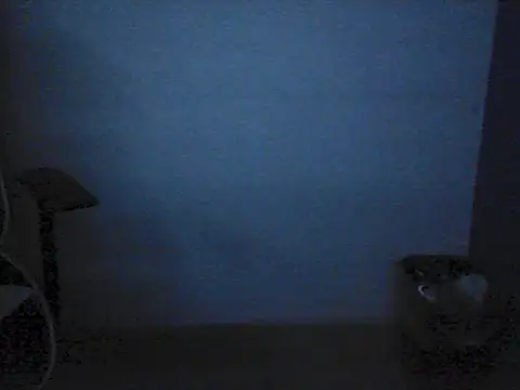 Kalel17073 webcam