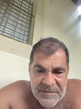 Peludo173317
