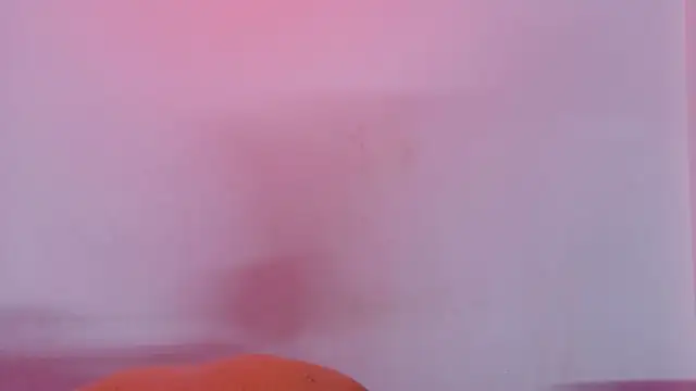 AliceandMax webcam