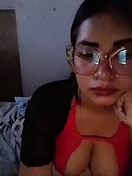 K_AriDoll webcam