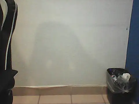 Kalel17073 webcam