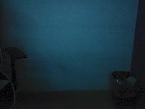 Kalel17073 live cam on StripChat