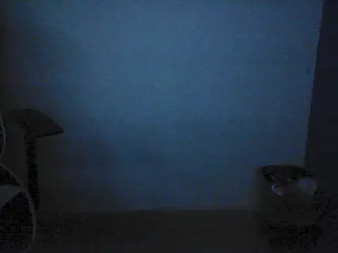 Kalel17073 webcam
