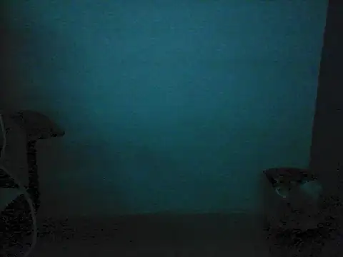 Kalel17073 webcam