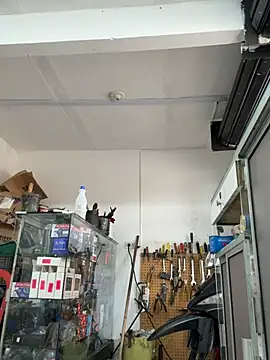 Paul22cm- webcam