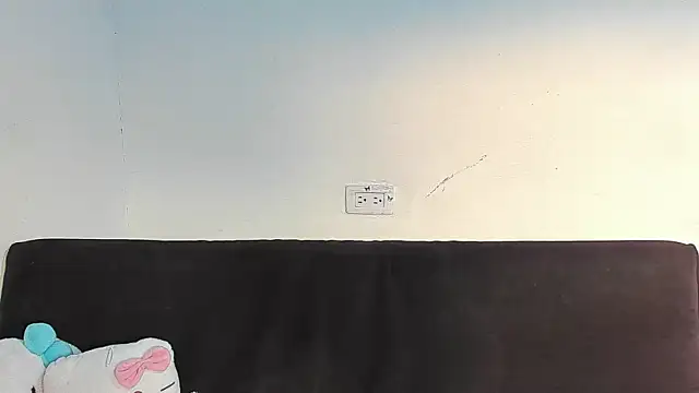 Eirlysx webcam
