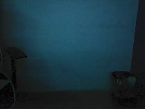 Kalel17073 webcam