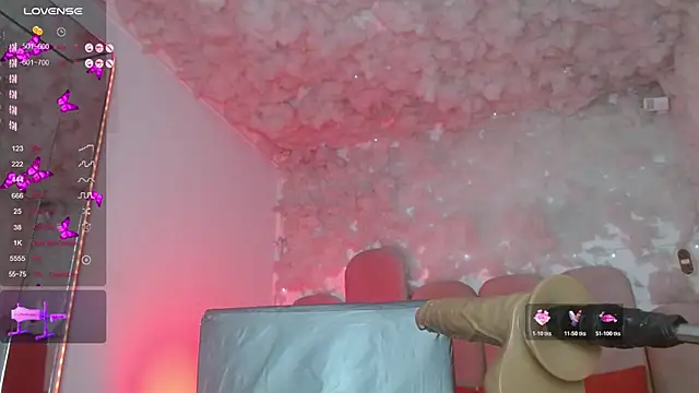 puca_ebony webcam