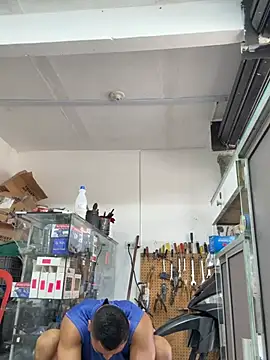 Paul22cm- webcam
