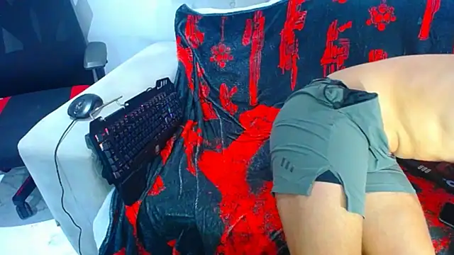 hugo_19cm webcam