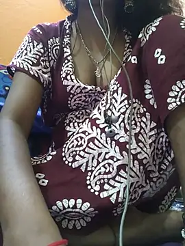 jasss-12x webcam