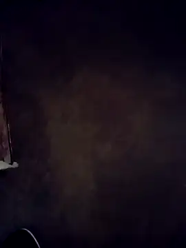 Vandicrioot webcam