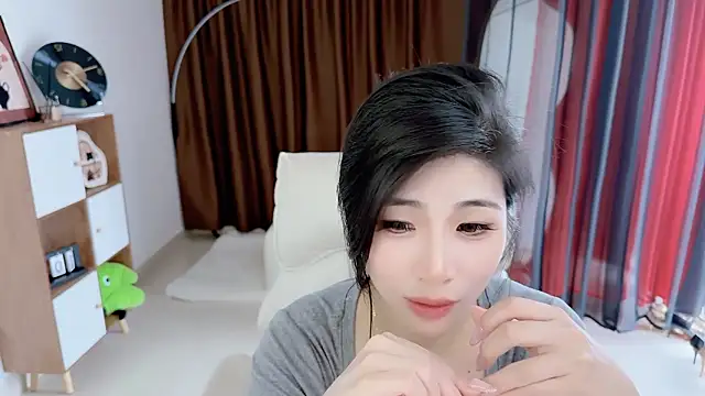 Vaidurya-Yolo webcam