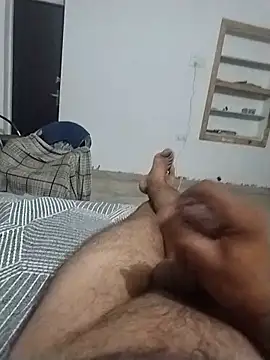 Desiandaj webcam