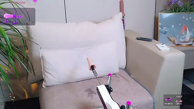 DoDo-2026 webcam