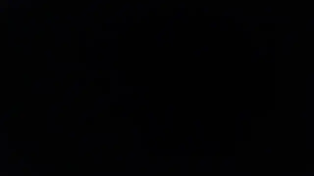 lvgxo webcam