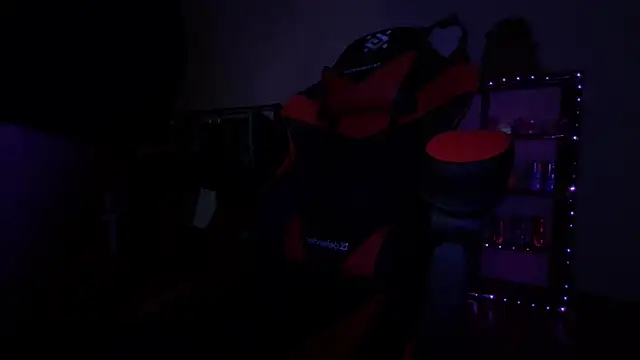 _ELIGOS_ webcam